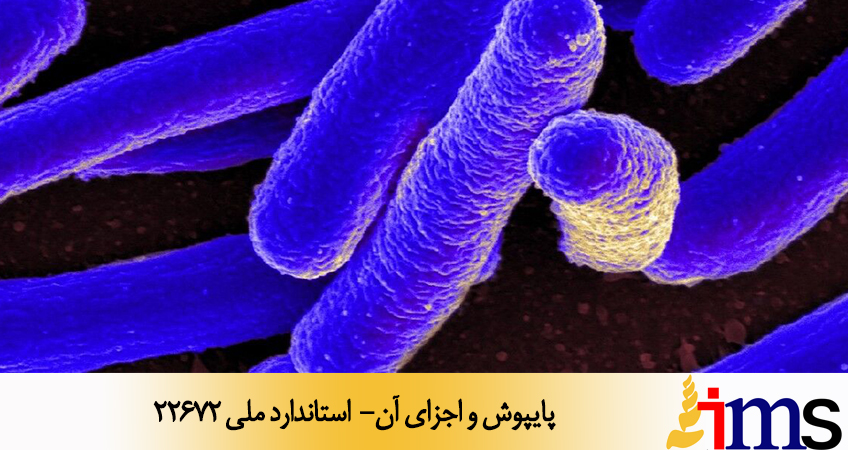 پایپوش و اجزای آن- استاندارد ملی 22672